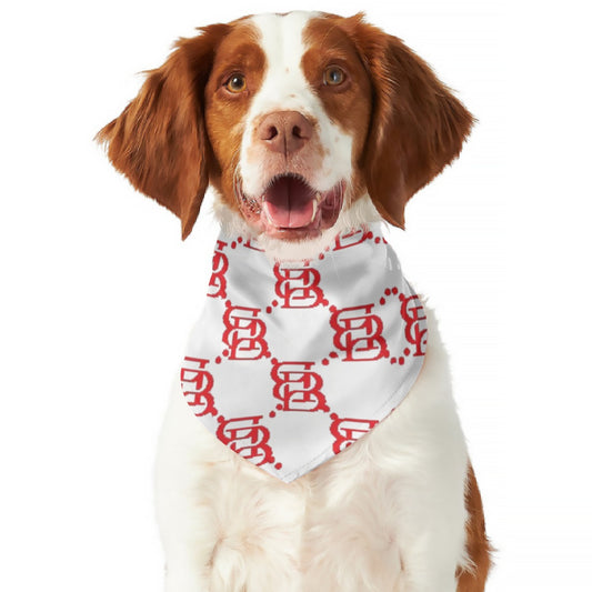 Red BB Pet's Scarf